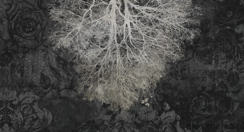 Fototapeta na wymiar drzewo na tle kwiatów MU12032 Expansion theory.jpg