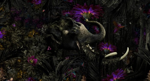 Fototapeta na wymiar indyjski słoń i roślinność MU13026 Mumba Kanda.jpg