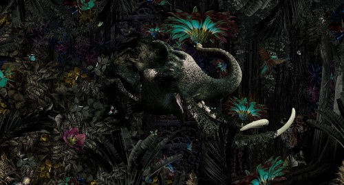 Fototapeta na wymiar indyjski słoń i roślinność MU13027 Mumba Kanda.jpg