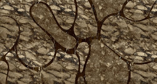 Fototapeta na wymiar efekt marmuru  MU13056 A line in the sand.jpg