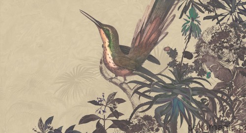 Fototapeta na wymiar ptak i rośliny na jednolitym tle MU14046 Rosewood.jpg