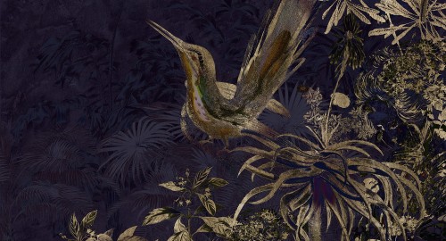 Fototapeta na wymiar ptak i rośliny na jednolitym tle MU14048 Rosewood.jpg