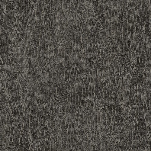 G68101.jpg