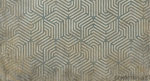 Fototapeta na wymiar krokodyli wzór na geometrycznym tle Geodile MU11053.jpg