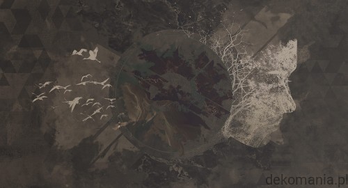 Fototapeta na wymiar ptaki na tle nieba z kobiecą twarzą MU12002 New divide.jpg