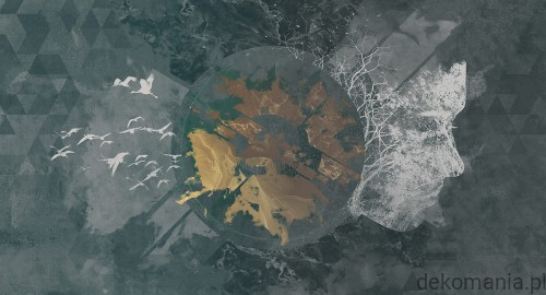 Fototapeta na wymiar ptaki na tle nieba z kobiecą twarzą MU12003 New divide.jpg