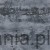 DWP0356-05.jpg