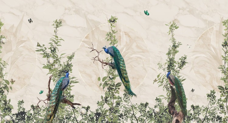 Fototapeta na wymiar pawie na minimalistycznym tle MU13040 Peacock Forest.jpg