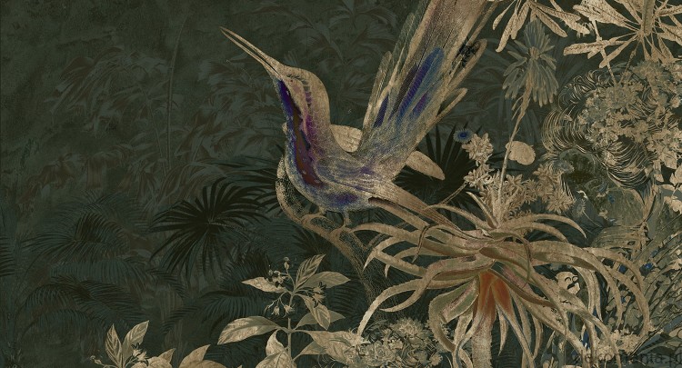 Fototapeta na wymiar ptak i rośliny na jednolitym tle MU14047 Rosewood.jpg