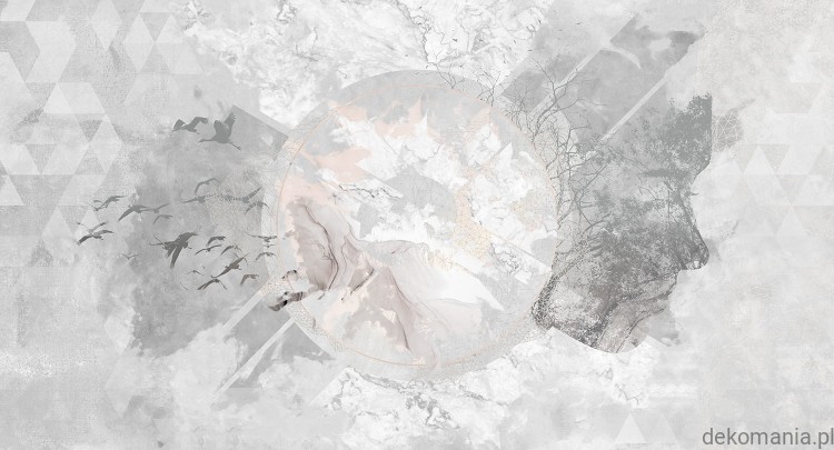 Fototapeta na wymiar ptaki na tle nieba z kobiecą twarzą MU12001 New divide.jpg