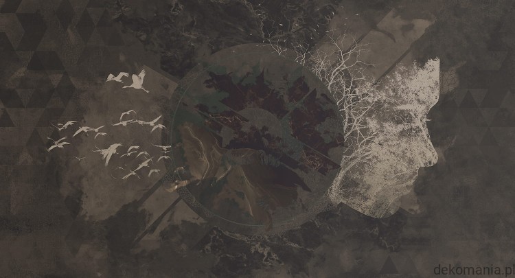 Fototapeta na wymiar ptaki na tle nieba z kobiecą twarzą MU12002 New divide.jpg