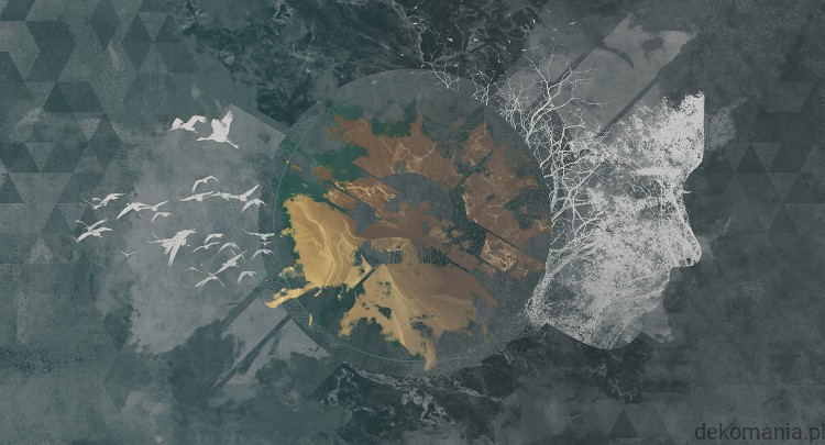 Fototapeta na wymiar ptaki na tle nieba z kobiecą twarzą MU12003 New divide.jpg