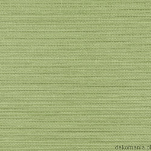 Winylowa-okleina-scienna-RALPH-W-47-172-vinylpex1.jpg