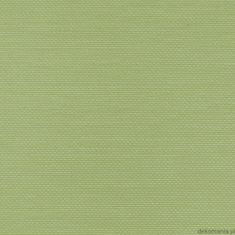 Winylowa-okleina-scienna-RALPH-W-47-172-vinylpex1.jpg