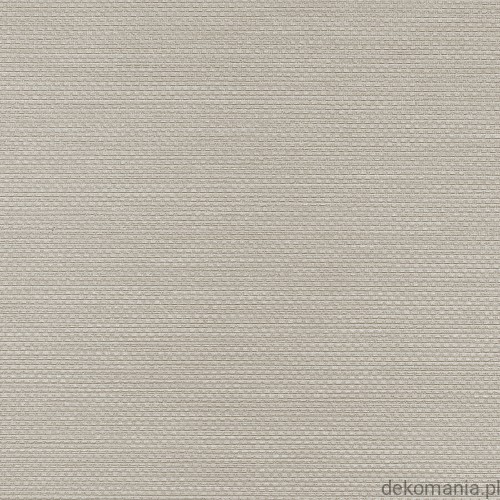 Winylowa-okleina-scienna-RALPH-W-47-352-vinylpex1.jpg