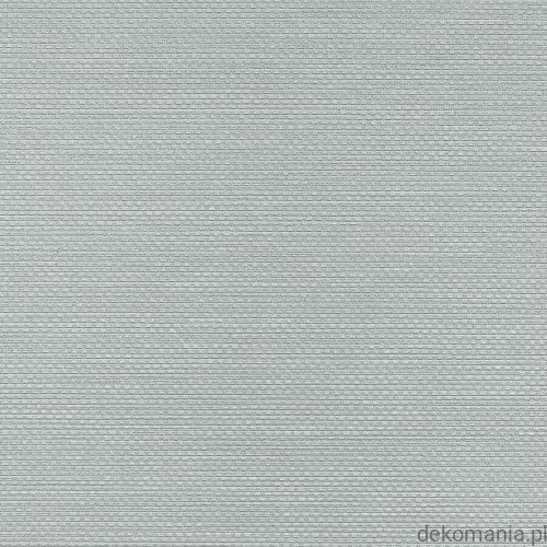 Winylowa-okleina-scienna-RALPH-W-47-3766-vinylpex1.jpg