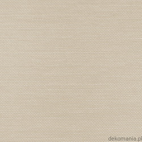 Winylowa-okleina-scienna-RALPH-W-47-379-vinylpex1.jpg