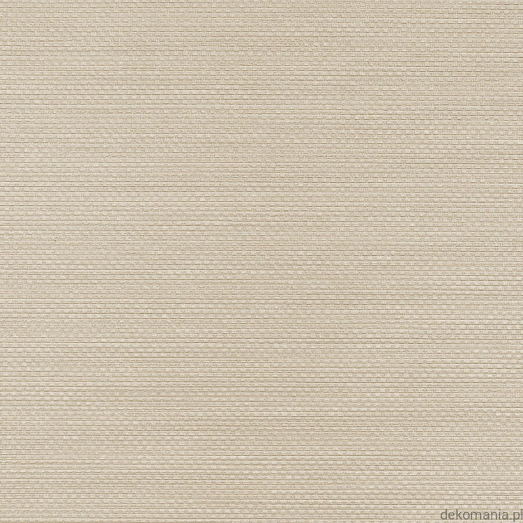 Winylowa-okleina-scienna-RALPH-W-47-379-vinylpex1.jpg