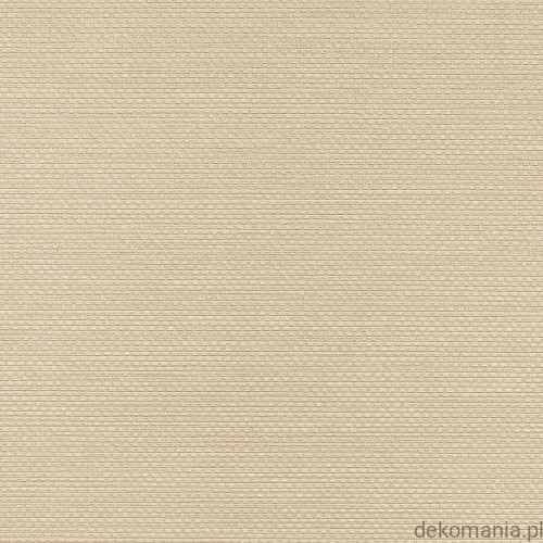 Winylowa-okleina-scienna-RALPH-W-47-82-vinylpex1.jpg