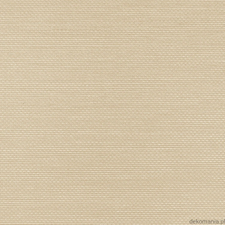Winylowa-okleina-scienna-RALPH-W-47-82-vinylpex1.jpg
