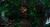 Fototapeta na wymiar kobieca twarz pośród drzew  MU13012 Ubuntu Forest.jpg