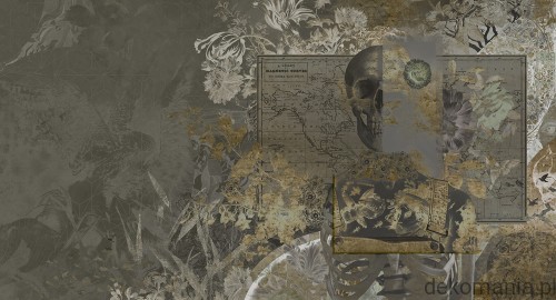 Fototapeta na wymiar skull candy MU13047 Skull Candy.jpg