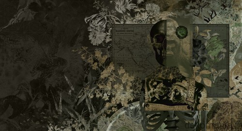 Fototapeta na wymiar skull candy MU13048 Skull Candy.jpg