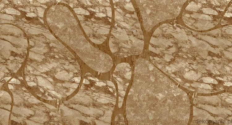 Fototapeta na wymiar efekt marmuru  MU13057 A line in the sand.jpg