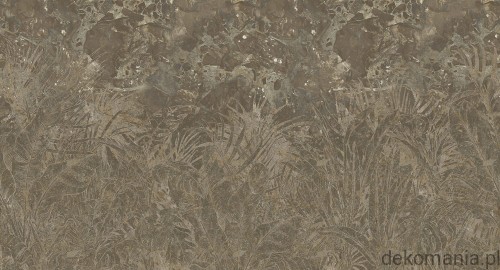 Fototapeta na wymiar natura na surowym tle MU13070 Fossilized.jpg