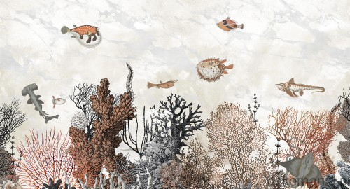 Fototapeta na wymiar ocean, ryby i natura MU13091 Saint Lucia.jpg