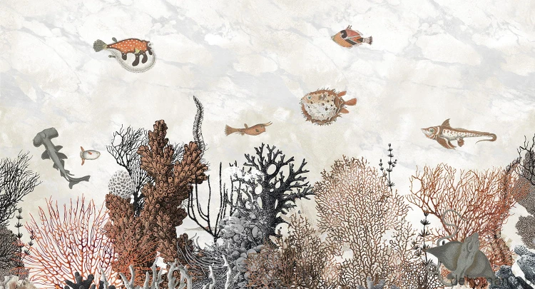 Fototapeta na wymiar ocean, ryby i natura MU13091 Saint Lucia.jpg