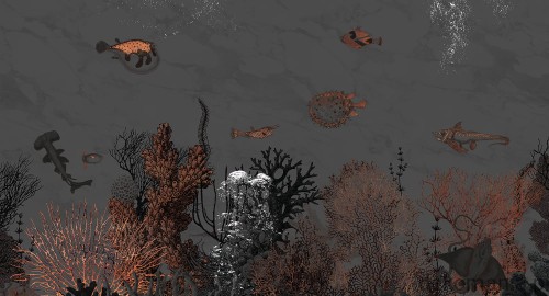 Fototapeta na wymiar ocean, ryby i natura MU13092 Saint Lucia.jpg