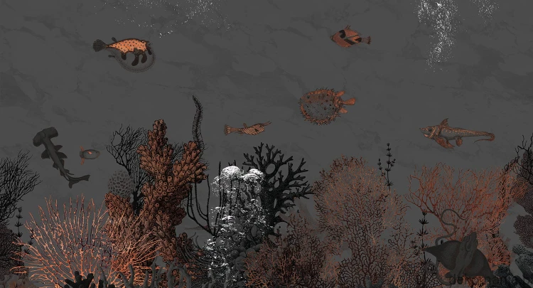 Fototapeta na wymiar ocean, ryby i natura MU13092 Saint Lucia.jpg