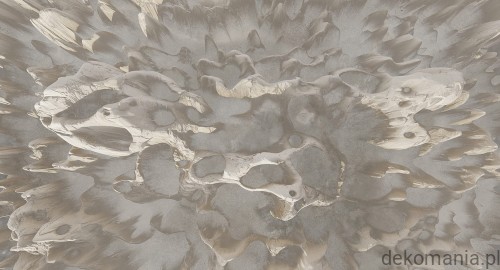 Fototapeta na wymiar koralowiec na jednolitym tle MU13094 Coral on the wall.jpg