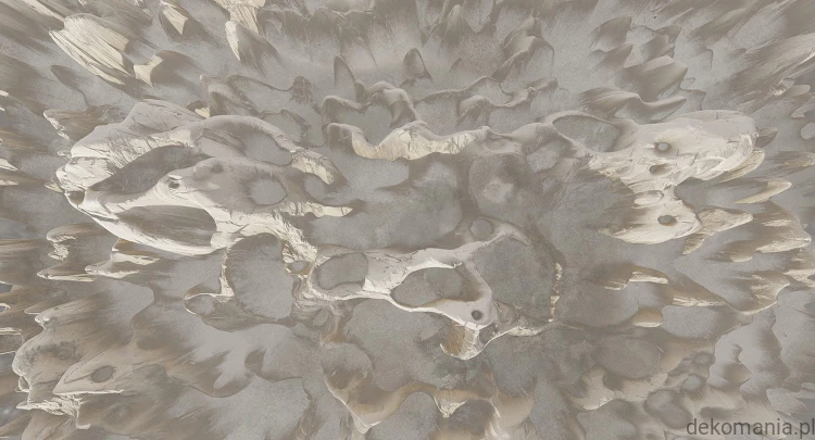 Fototapeta na wymiar koralowiec na jednolitym tle MU13094 Coral on the wall.jpg