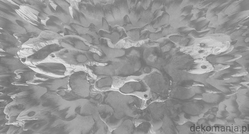 Fototapeta na wymiar koralowiec na jednolitym tle MU13096 Coral on the wall.jpg