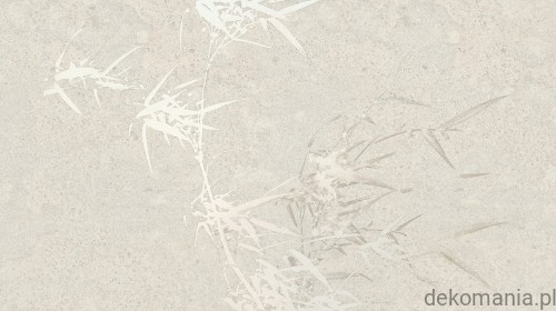 Fototapeta na wymiar rośliny w stonowanych kolorach MU15004 Harmony hues.jpg