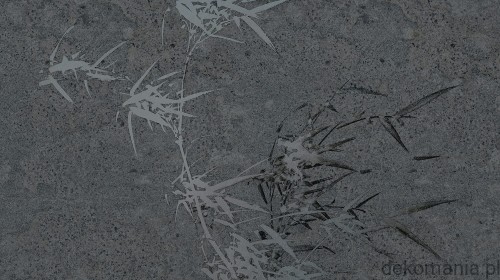 Fototapeta na wymiar rośliny w stonowanych kolorach MU15006 Harmony hues.jpg