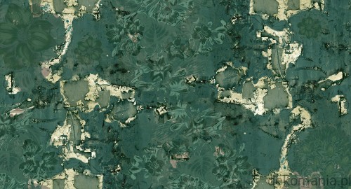 Fototapeta na wymiar nowoczesne, złote wzory z kwiatami MU15081 Symphony.jpg
