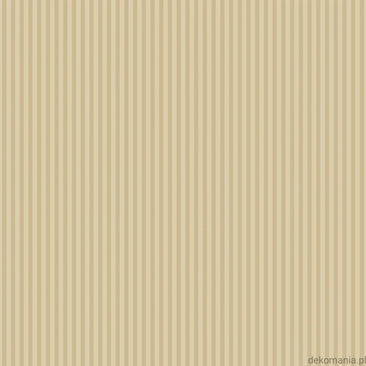 G67911.jpg