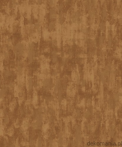 F-VE5005.jpg