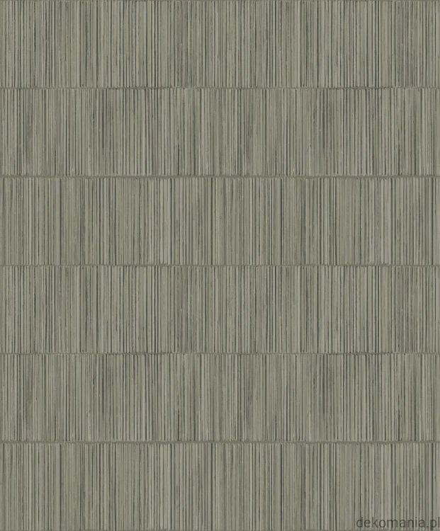 SP-JA3003.jpg