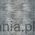 G78288.jpg