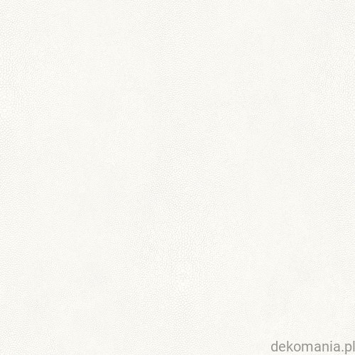 G67470.jpg