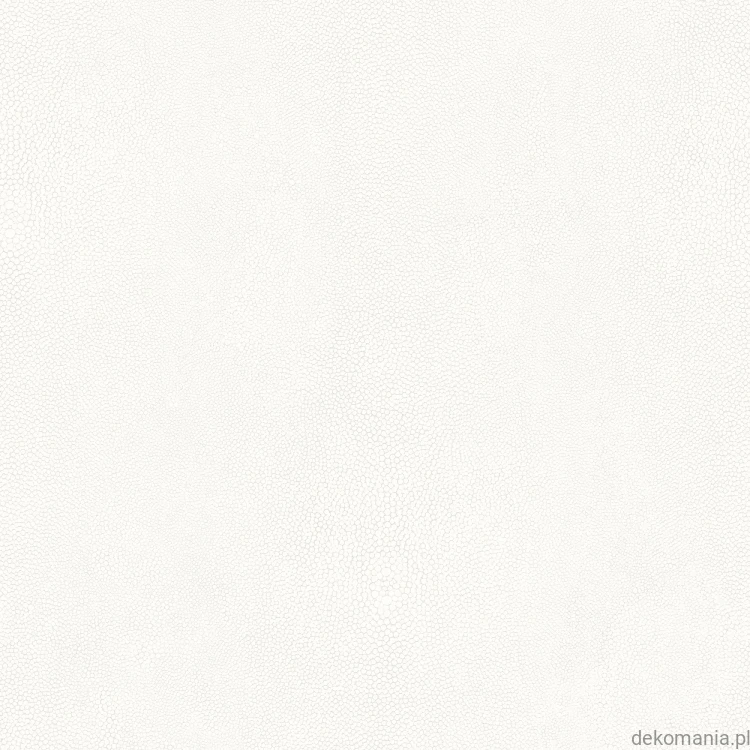 G67470.jpg