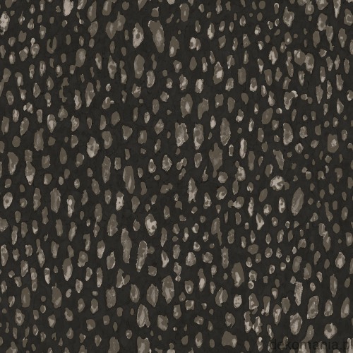 G67759.jpg