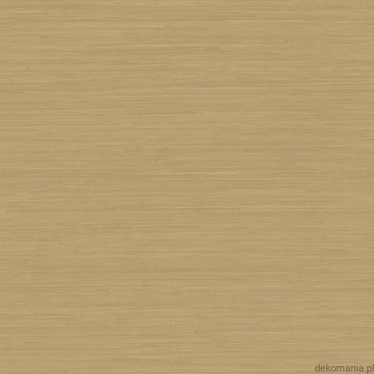 SB37917.jpg