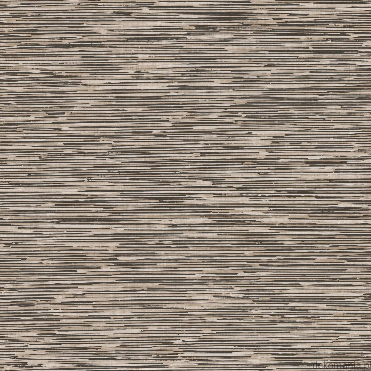 G56585.jpg
