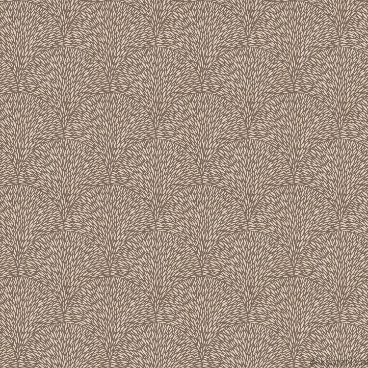 G56605.jpg