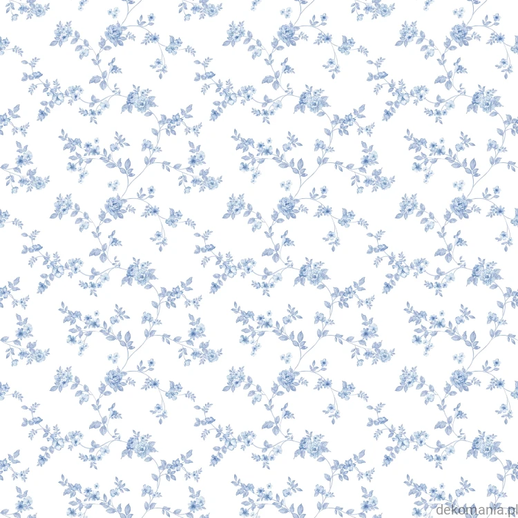 G56647.jpg